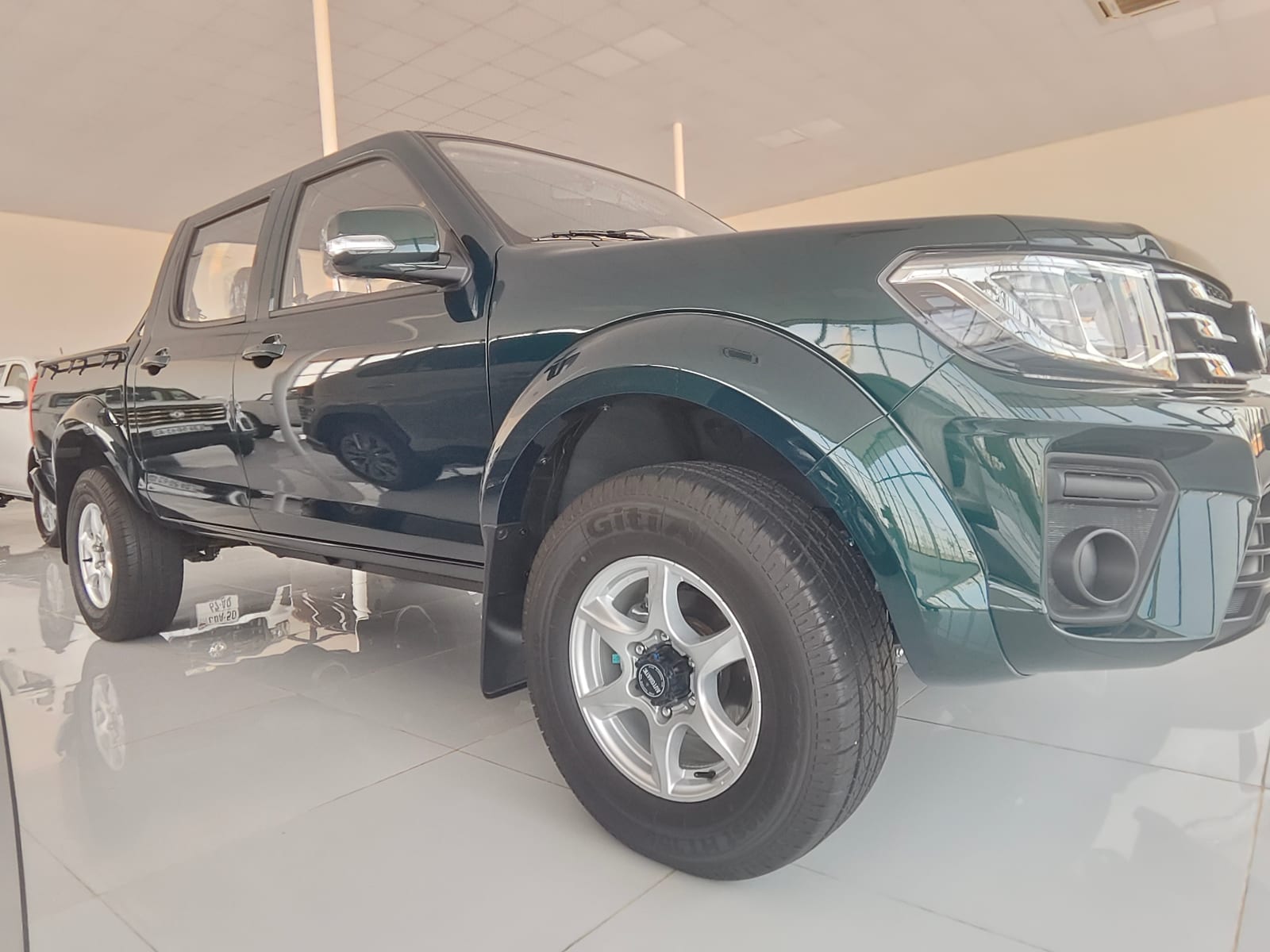 Dongfeng Rich — Dark Green